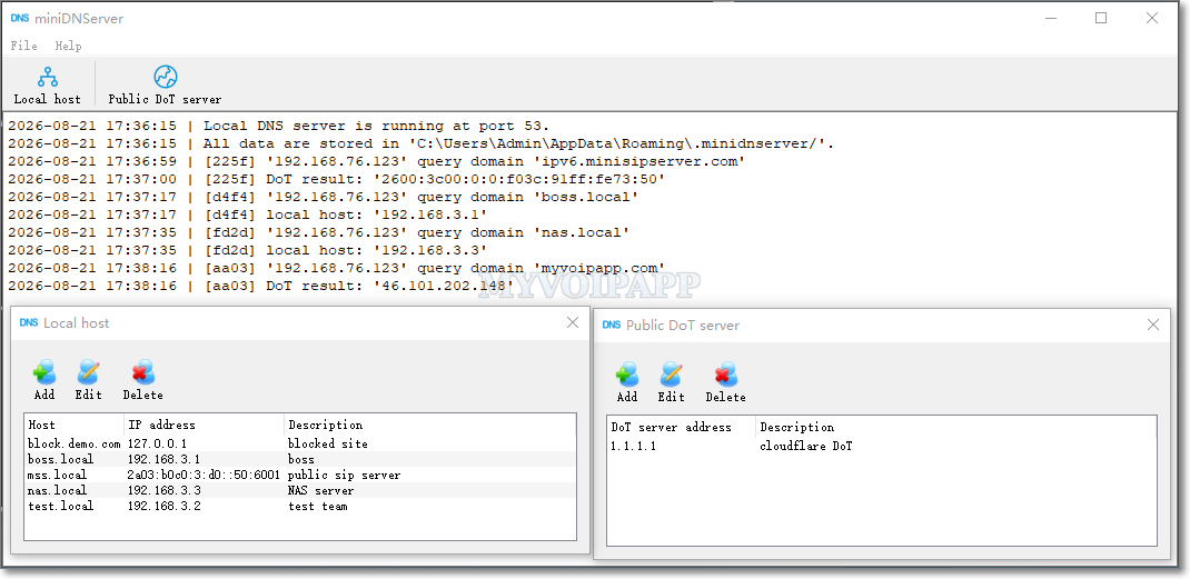 miniDNServer main window